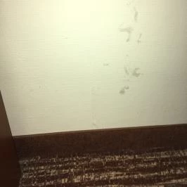 Thermal Hotel Visegrád Visegrád - Egyéb