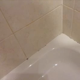 Thermal Hotel Visegrád Visegrád - Egyéb