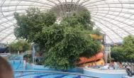 Aquaticum Mediterrán Élményfürdő Debrecen - 