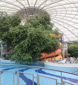 Aquaticum Mediterrán Élményfürdő