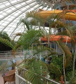 Aquaticum Mediterrán Élményfürdő