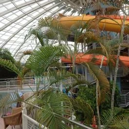 Aquaticum Mediterrán Élményfürdő, Debrecen - 
