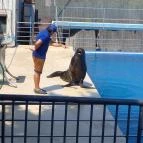 Atlantika Vizividámpark Vásárosnamény - 