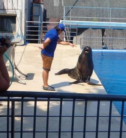 Atlantika Vizividámpark