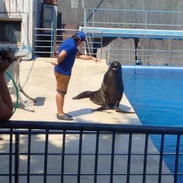 Atlantika Vizividámpark Vásárosnamény - Egyéb