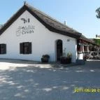 Szúnyogszigeti Halászcsárda Pákozd - Külső kép