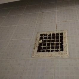 Misefa Kastély Misefa - Belső