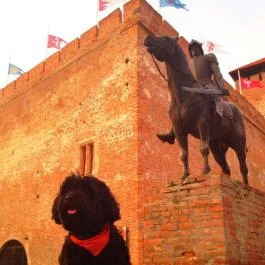 Éva Apartmanház Gyula - Környék