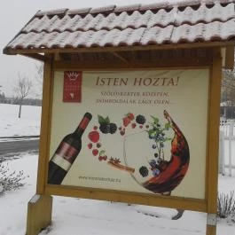 Egri Korona Borház & Wellness Hotel, Demjén - Egyéb