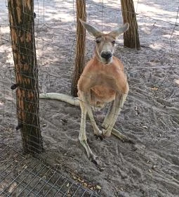 Richter Safari Park