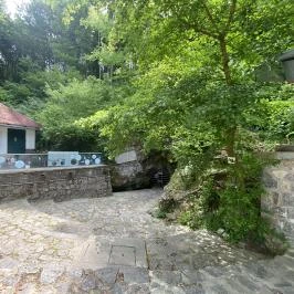 Abaligeti Cseppkőbarlang, Abaliget - Egyéb