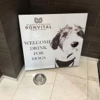 Bonvital Wellness & Gastro Hotel Hévíz Hévíz - Egyéb