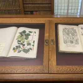 Ciszterci Műemlékkönyvtár Zirc - Egyéb