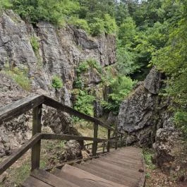 Csárda-hegyi őskarszt , Úrkút - Egyéb