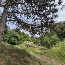 Csárda-hegyi őskarszt , Úrkút - Egyéb