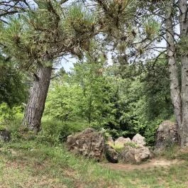 Csárda-hegyi őskarszt , Úrkút - Egyéb