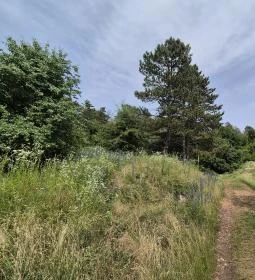 Csárda-hegyi őskarszt 