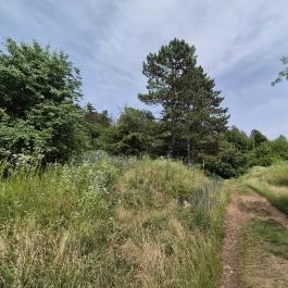 Csárda-hegyi őskarszt , Úrkút - Egyéb