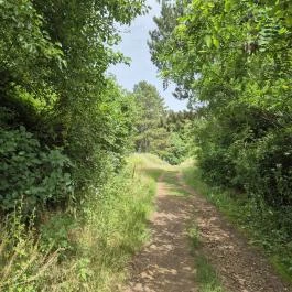 Csárda-hegyi őskarszt , Úrkút - Egyéb