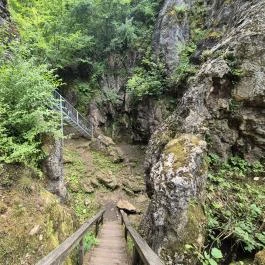 Csárda-hegyi őskarszt , Úrkút - Egyéb