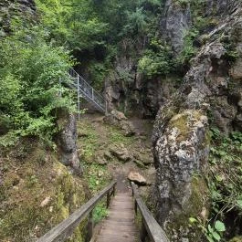 Csárda-hegyi őskarszt , Úrkút - Egyéb