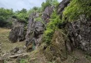 Csárda-hegyi őskarszt Úrkút