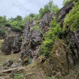 Csárda-hegyi őskarszt , Úrkút - Egyéb