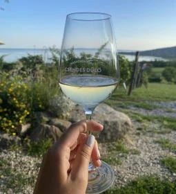 Csendes Dűlő Borterasz