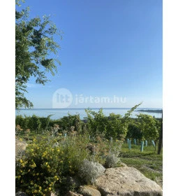 Csendes Dűlő Borterasz