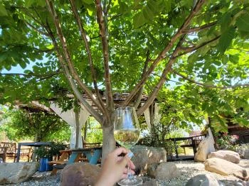 Csendes Dűlő Borterasz Badacsonyörs