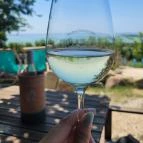 Csendes Dűlő Borterasz Badacsonyörs - Étel/ital