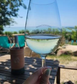 Csendes Dűlő Borterasz