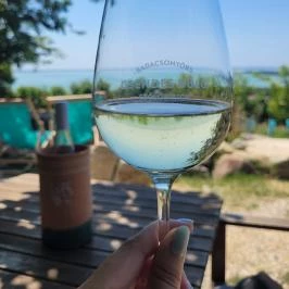 Csendes Dűlő Borterasz Badacsonyörs - Étel/ital