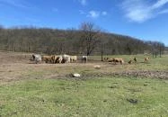 Csobánc-hegy Gyulakeszi