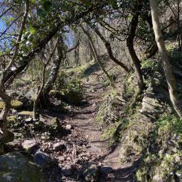 Csobánc-hegy, Gyulakeszi - Egyéb