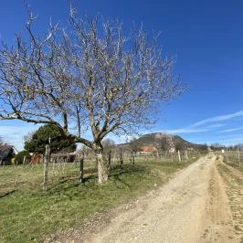 Csobánc-hegy, Gyulakeszi - Egyéb