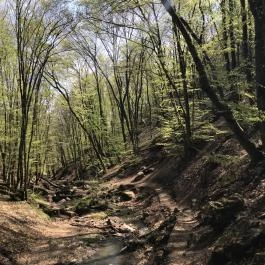 Dera-szurdok, Pilisszentkereszt - Egyéb