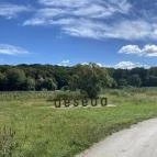 Deseda Kaposvár - Egyéb