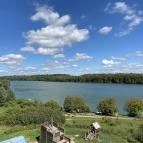 Deseda Kaposvár - Egyéb