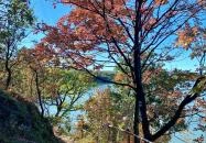 Fehérvárcsurgói-víztározó Fehérvárcsurgó