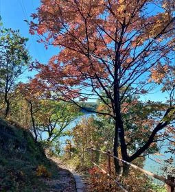 Fehérvárcsurgói-víztározó