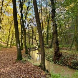 Gaja-szurdok, Bodajk - Egyéb