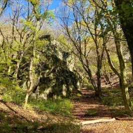 Gaja-szurdok, Bodajk - Egyéb