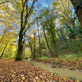 Gaja-szurdok, Bodajk - Egyéb