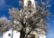 Havas Boldogasszony-templom Pécs Pécs