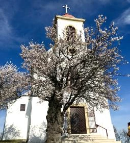 Havas Boldogasszony-templom Pécs 