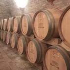 Konyári Pincészet Balatonlelle - Egyéb