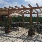 Konyári Pincészet Balatonlelle - Egyéb