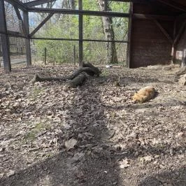 Körösvölgyi Állatpark, Szarvas - Egyéb