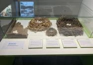 Körösvölgyi Állatpark Szarvas